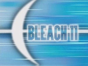 Bleach: 1×11