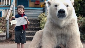 Timmy Failure : Des erreurs ont été commises