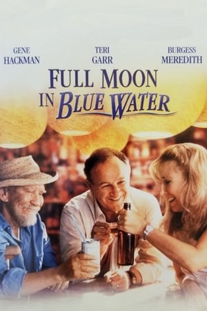 Poster Полная Луна в голубой воде 1988