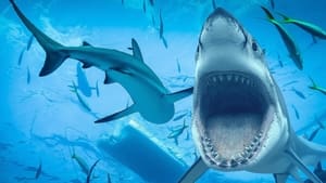 Sharks: Monster of the Media film complet