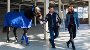 Private Eyes: 1×3