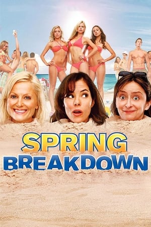 Poster Spring Breakdown 2009