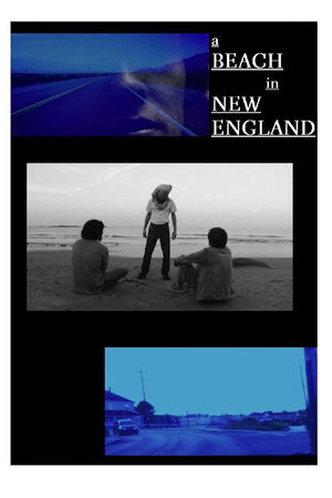 A Beach in New England 4