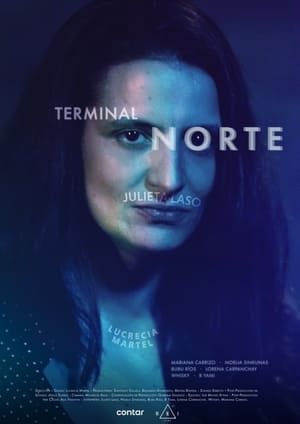 Poster North Terminal (2022)