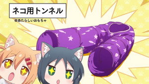 Episódio 8 - O Dia das Gatinhas 2 - Nyanko Days