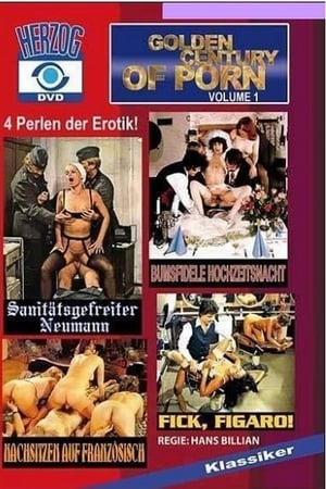 Poster Golden Century of Porn (2009)