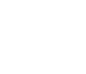 Sr. y Sra. Smith — Logos 3