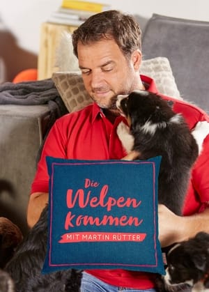 Image Martin Rütter – Die Welpen kommen