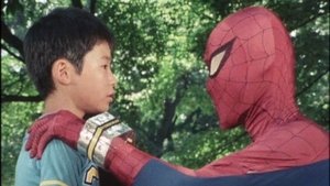 Japanese Spiderman Our Promise of Life