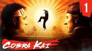 Cobra Kai: 1 Staffel 1 Folge