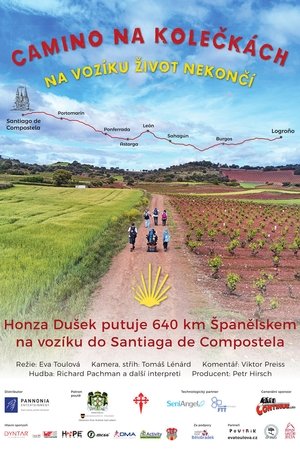 Poster Camino na kolečkách (2017)