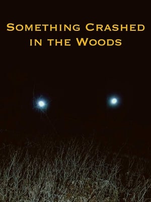 Something Crashed in the Woods 4k uhd 2019 オンラインで映画を見る