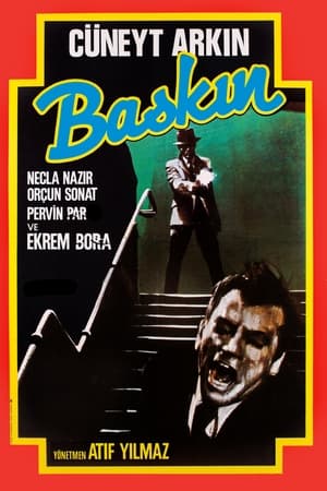 Poster Baskın 1977
