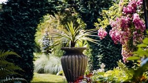 The colour garden
