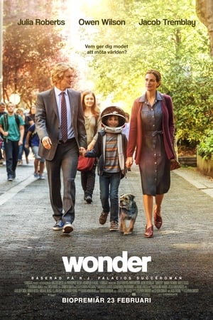 Poster Wonder 2017