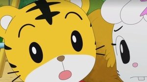 Episode 26
