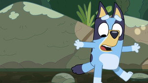 Bluey Compilations