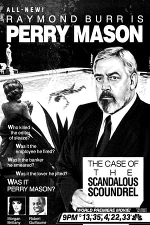 Poster di Perry Mason: Morte di un editore