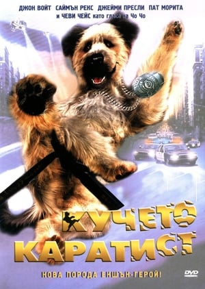 Poster Кучето каратист 2004