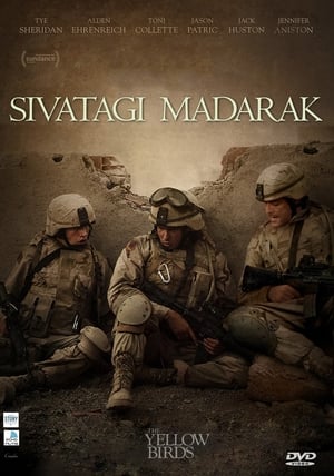 Image Sivatagi madarak