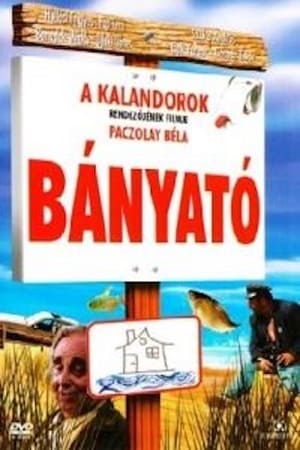 Poster Bányató (2007)