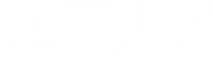 इंग्लिश विंग्लिश — Logos 3