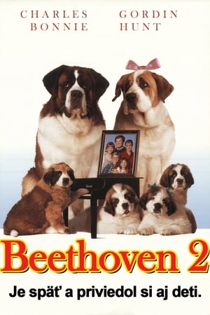 Image Beethoven 2