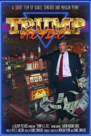 Poster Trump A.C./D.C. 2020