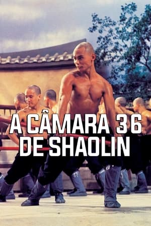 Assistir A 36ª Câmara de Shaolin Online Grátis