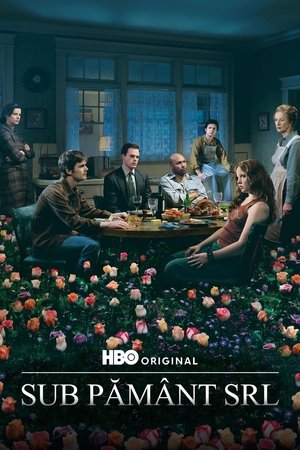 Image Sub Pământ S.R.L.