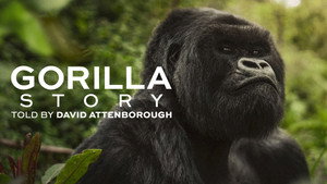 A Gorilla Story: Told by David Attenborough
