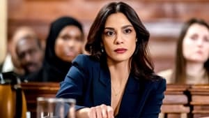 Law & Order – I due volti della giustizia 22 x 13