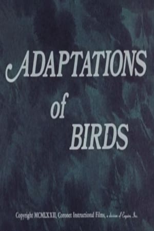 Image Adaptations of Birds