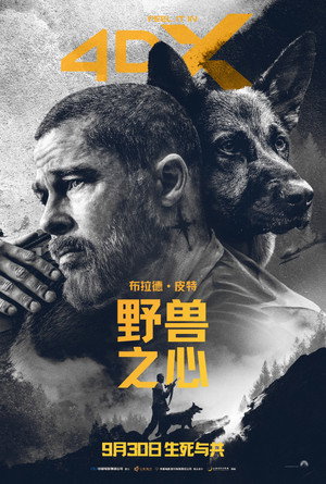 <Images posters