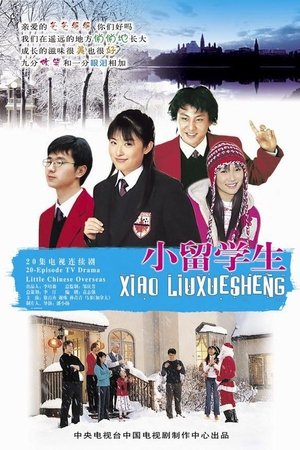 Poster 小留学生 2005