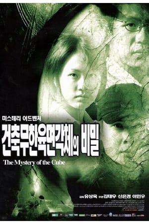 Poster A Mystery of the Cube (1998)