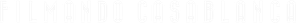 Curtiz — Logos 4