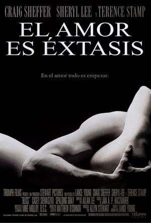 Poster El amor es éxtasis 1997