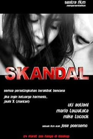 Poster Skandal 2011