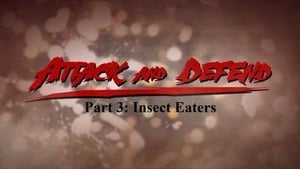 Attack and Defend Insect Eaters