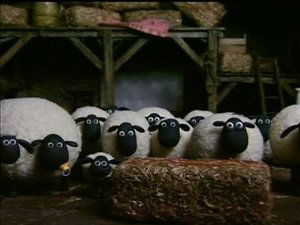 Shaun the Sheep Season 1 Episode 35