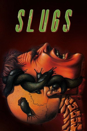 Slugs 41