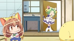 Reiwa no Di Gi Charat Cap 11