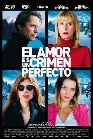 Poster El amor es un crimen perfecto 2013