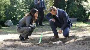 The Mentalist: Stagione 4 – Episodio 18