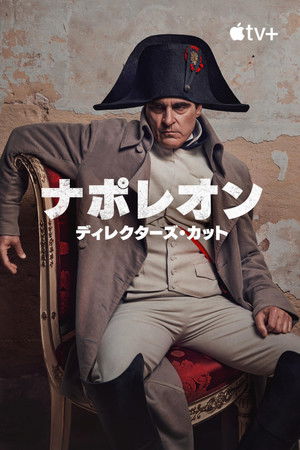 poster Napoleon
