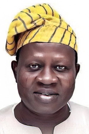 Kayode Olaiya portrait