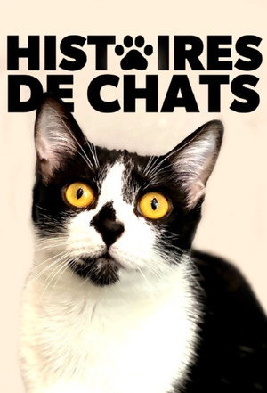The Story of Cats