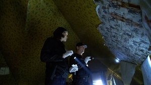 CSI: Crime Scene Investigation: 11×22