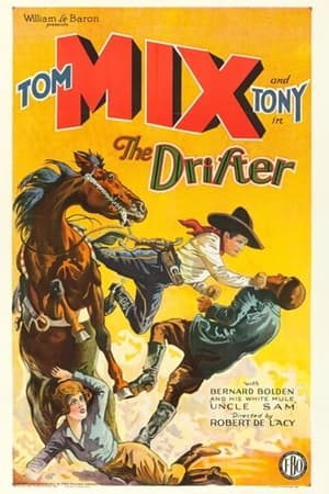 Poster The Drifter (1929)